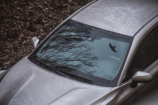 Automotive-Glass